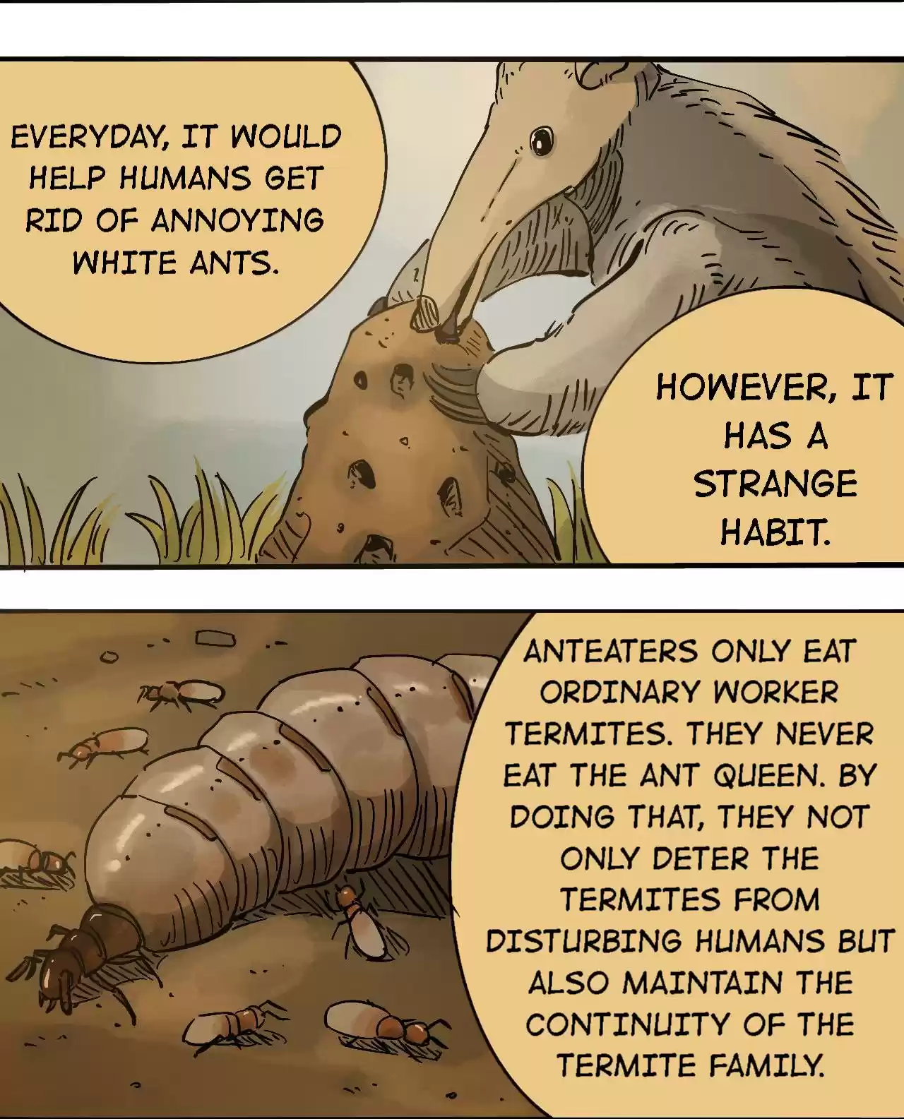 404 Case Manual: 30 Seconds Till Apocalypse 66.1 Despicable Dealer