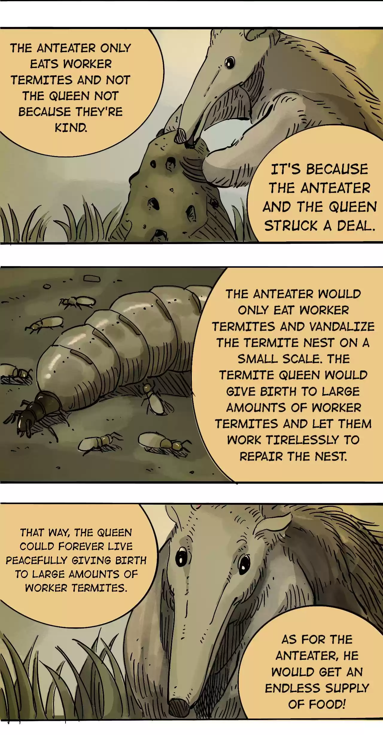 404 Case Manual: 30 Seconds Till Apocalypse 66.2 Despicable Dealer