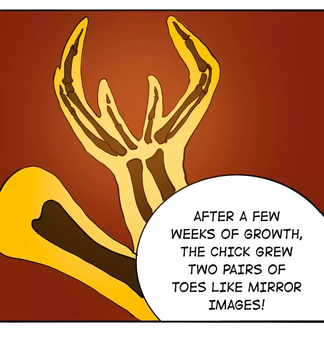 404 Case Manual: 30 Seconds Till Apocalypse 77