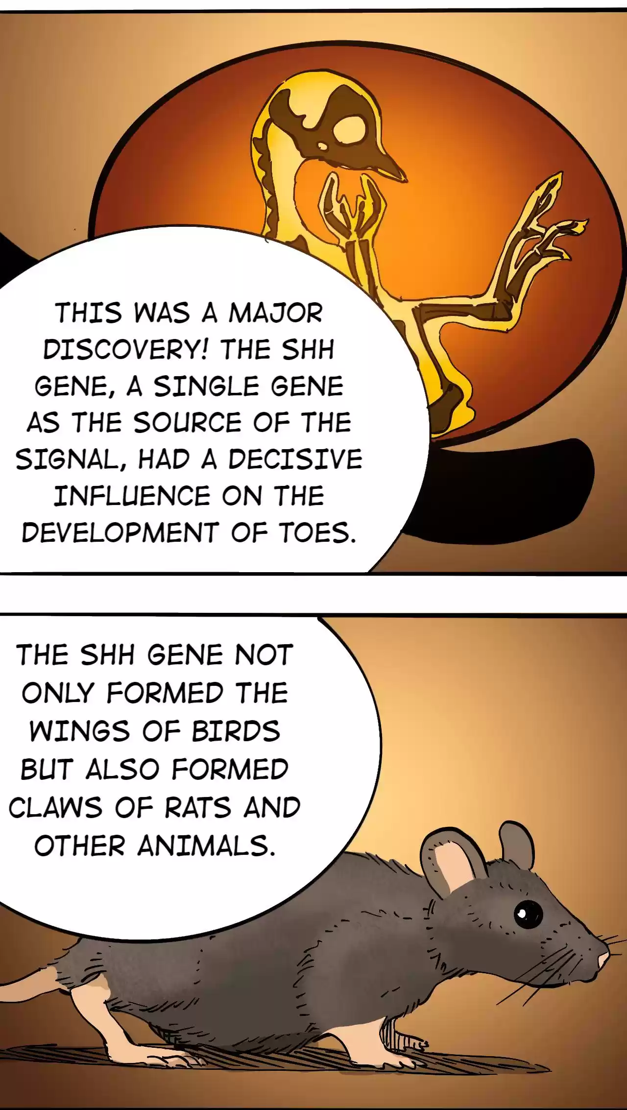 404 Case Manual: 30 Seconds Till Apocalypse 77