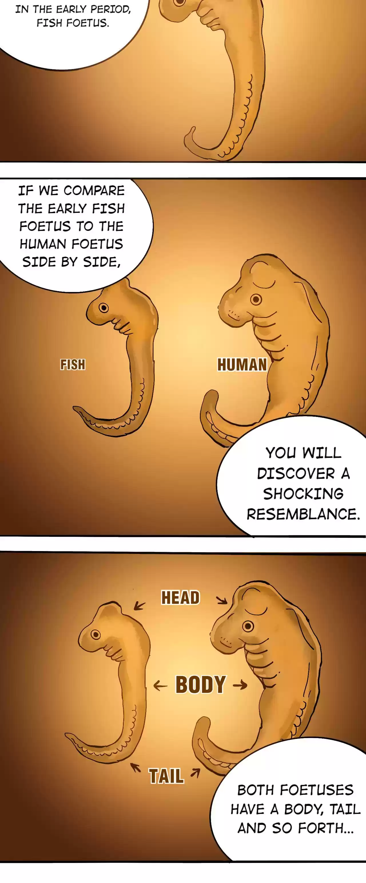 404 Case Manual: 30 Seconds Till Apocalypse 77.1