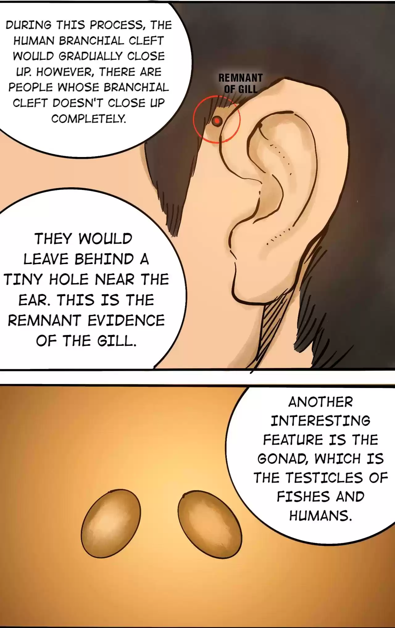 404 Case Manual: 30 Seconds Till Apocalypse 77.1