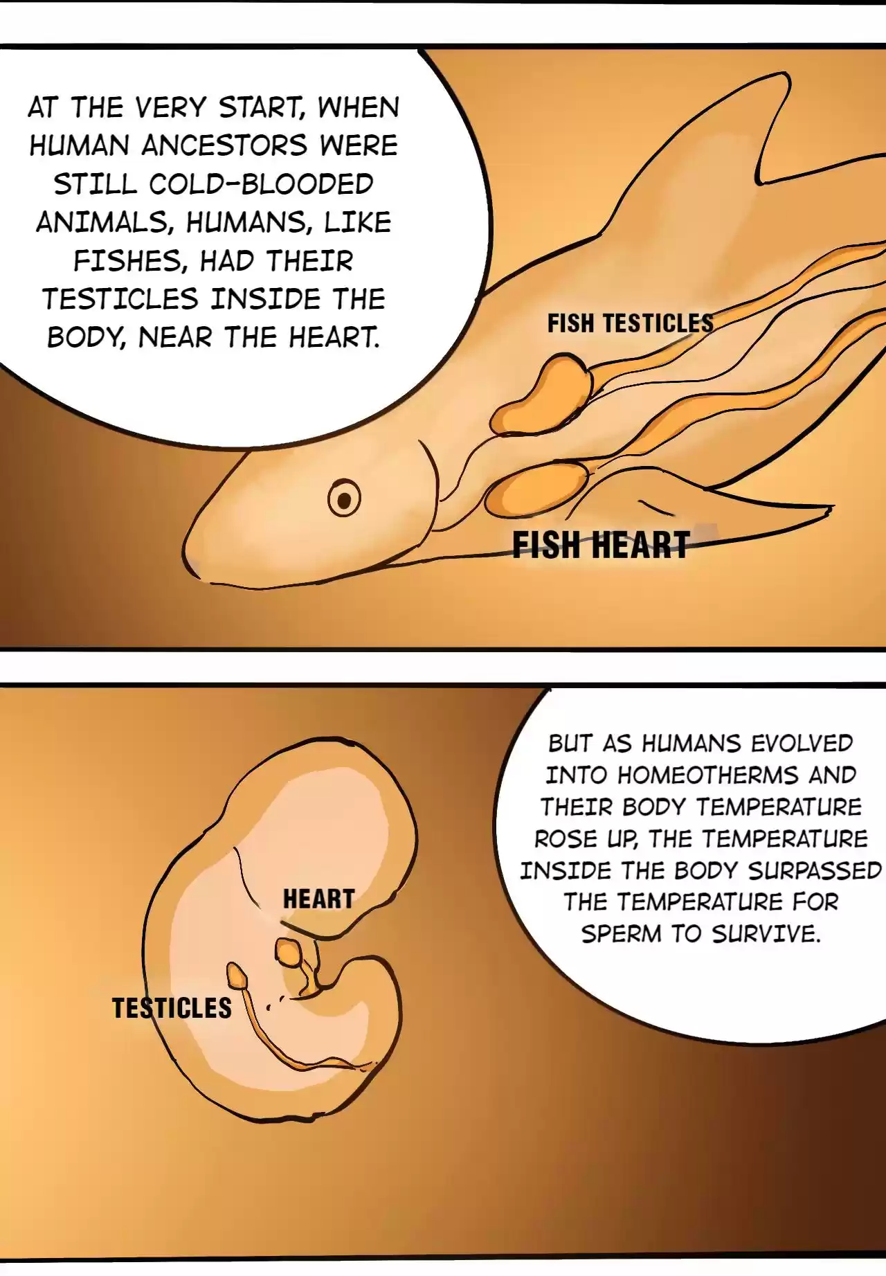404 Case Manual: 30 Seconds Till Apocalypse 77.1