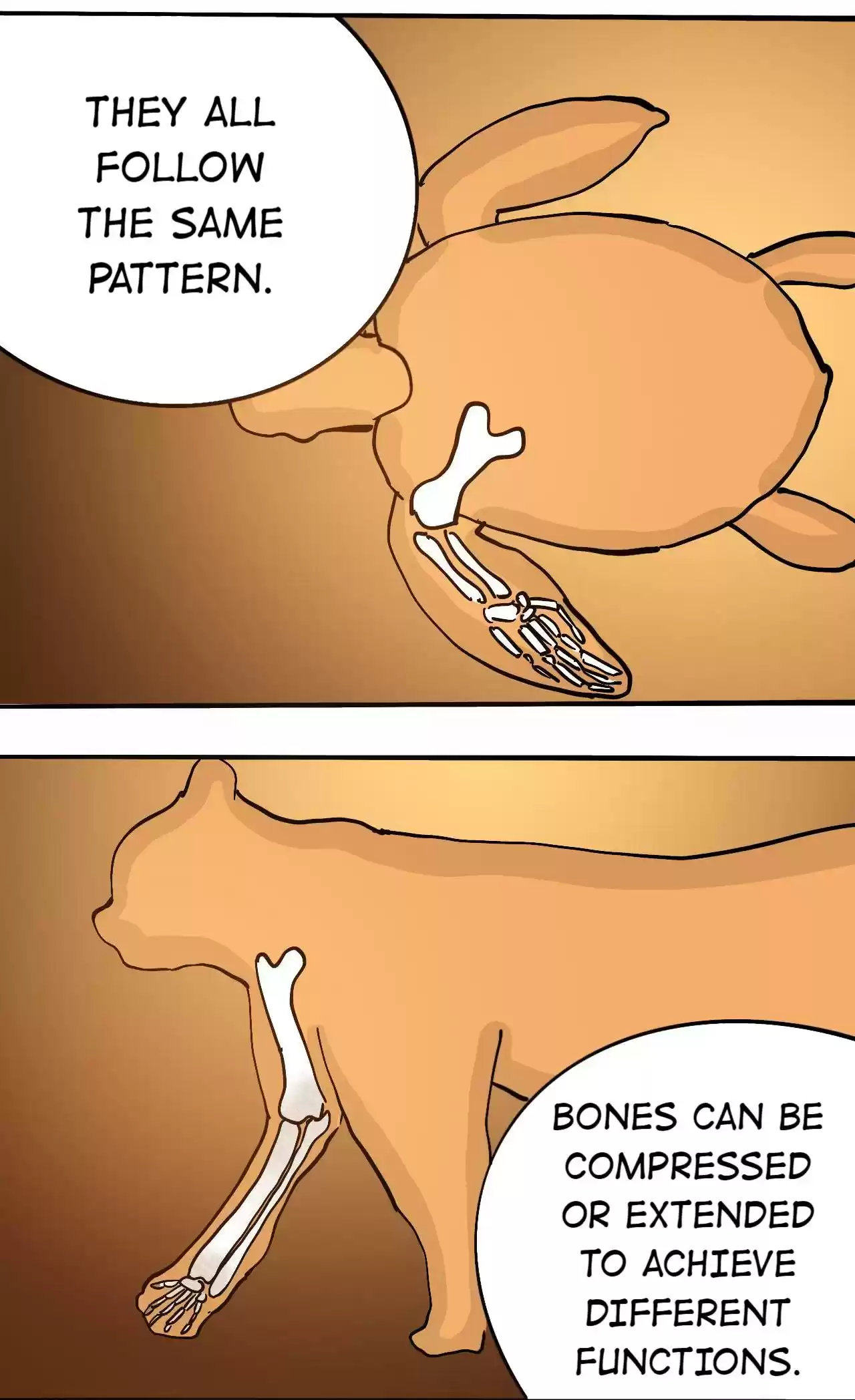 404 Case Manual: 30 Seconds Till Apocalypse 77.1