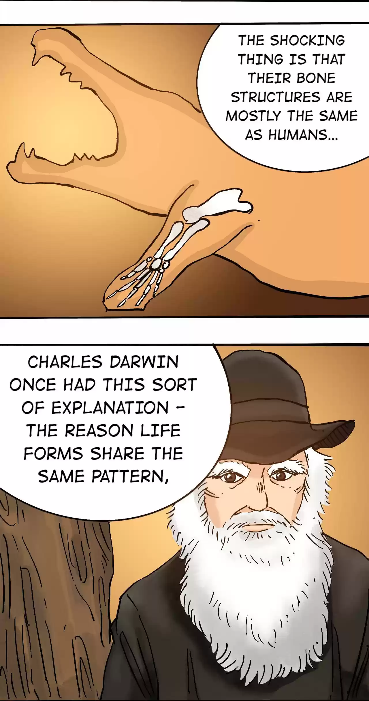 404 Case Manual: 30 Seconds Till Apocalypse 77.1