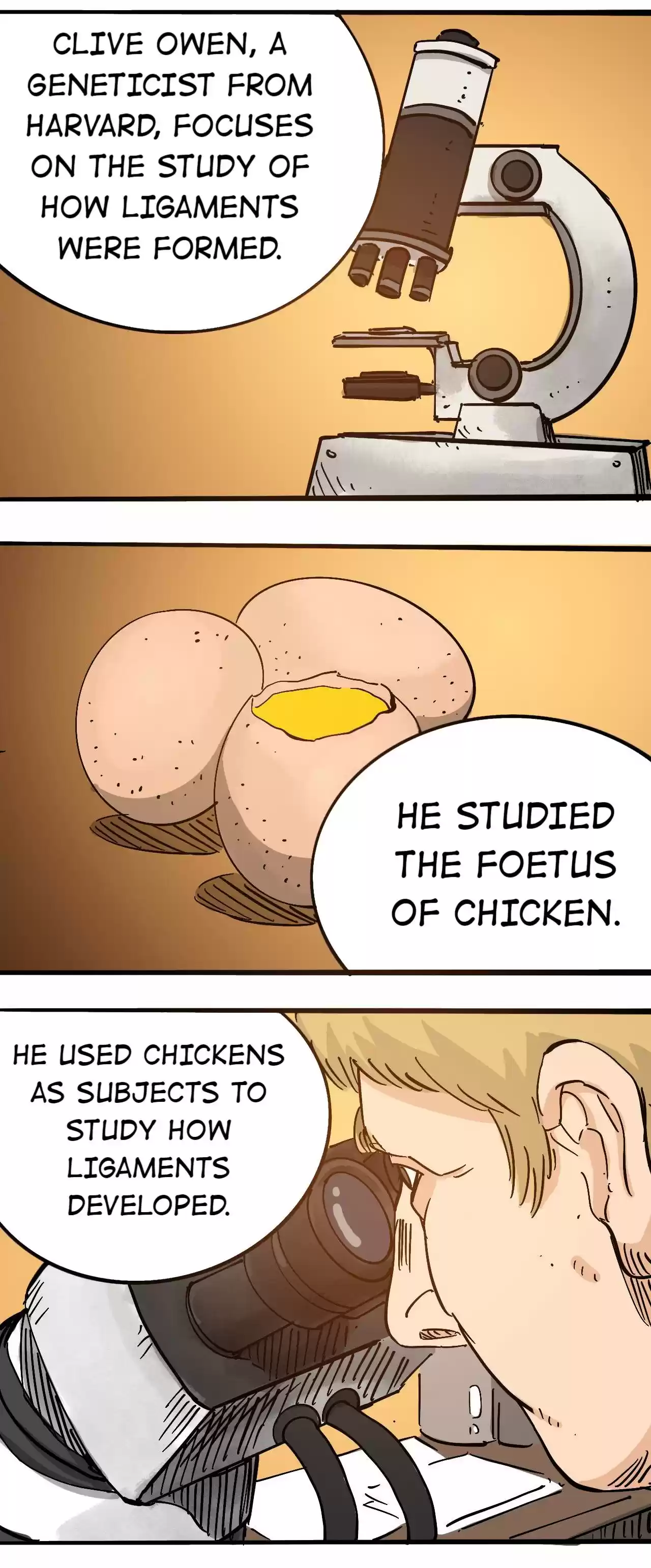 404 Case Manual: 30 Seconds Till Apocalypse 77.1