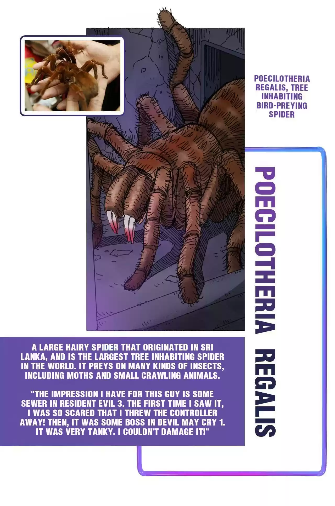 404 Case Manual: 30 Seconds Till Apocalypse Chapter 18.5