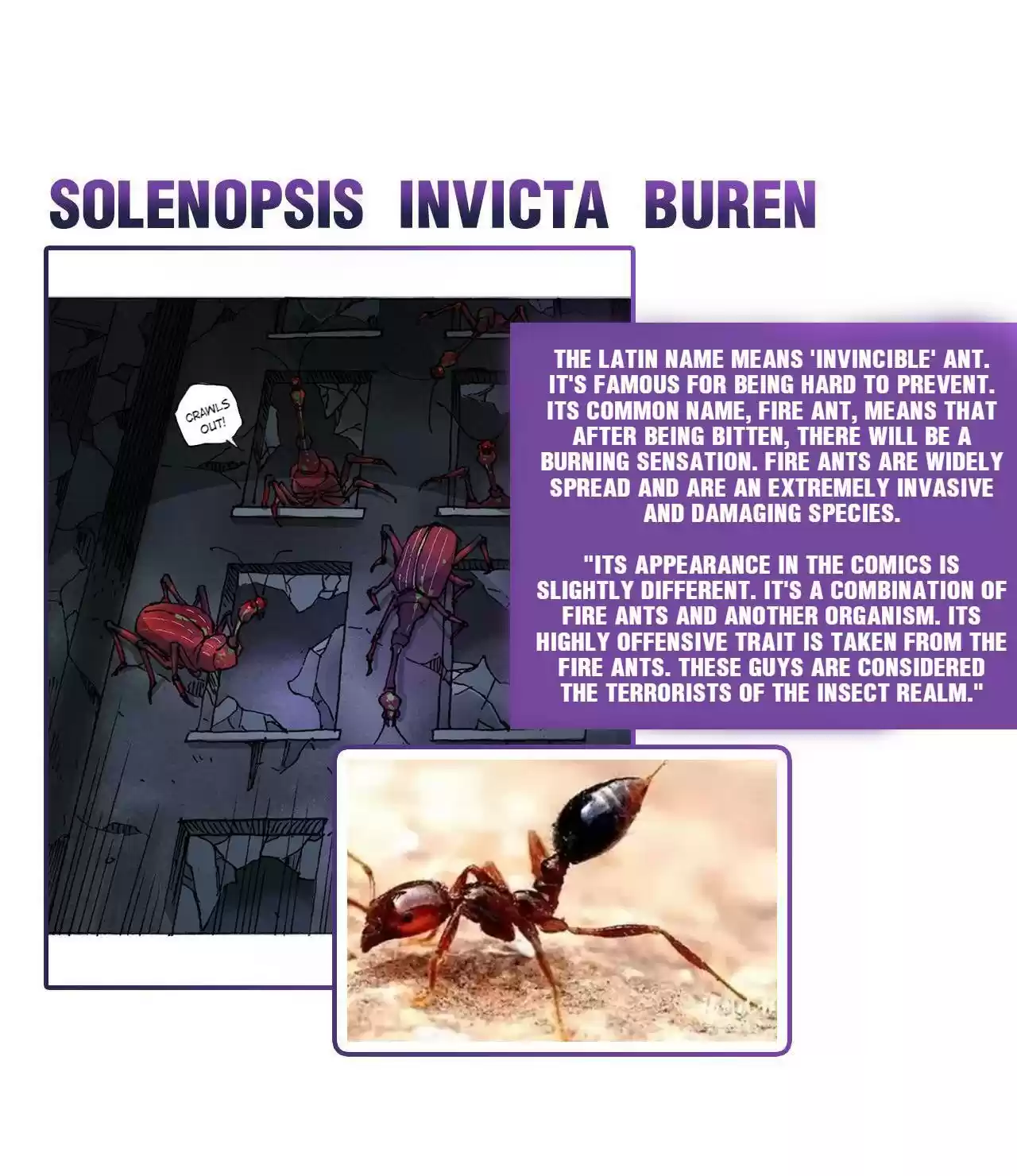 404 Case Manual: 30 Seconds Till Apocalypse Chapter 18.5