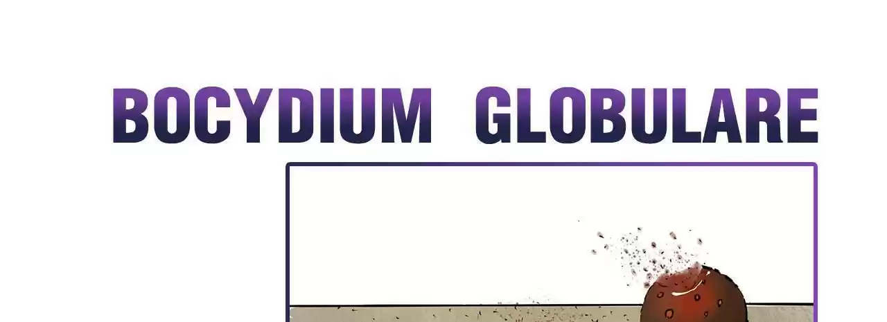 404 Case Manual: 30 Seconds Till Apocalypse Chapter 18.5