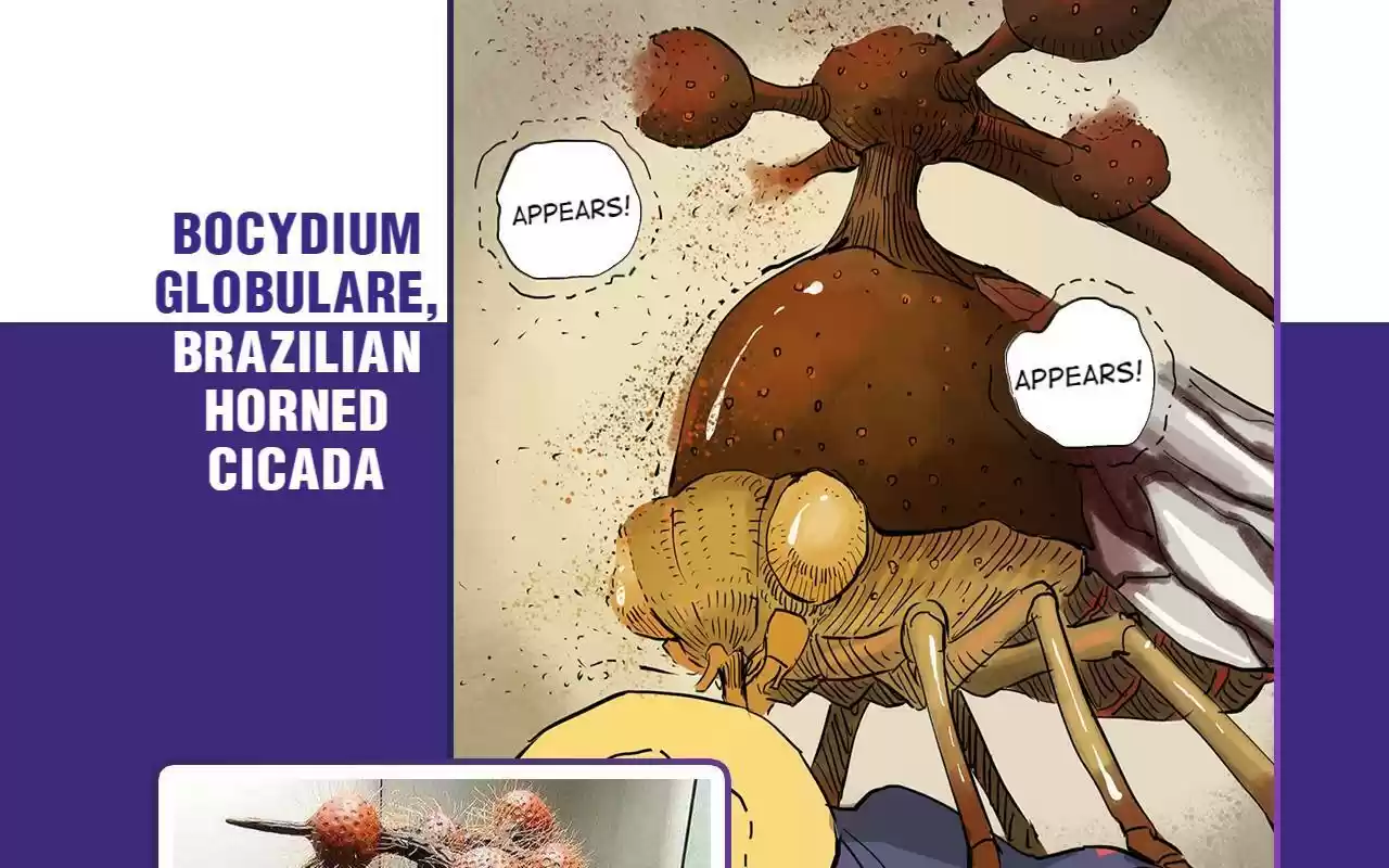 404 Case Manual: 30 Seconds Till Apocalypse Chapter 18.5