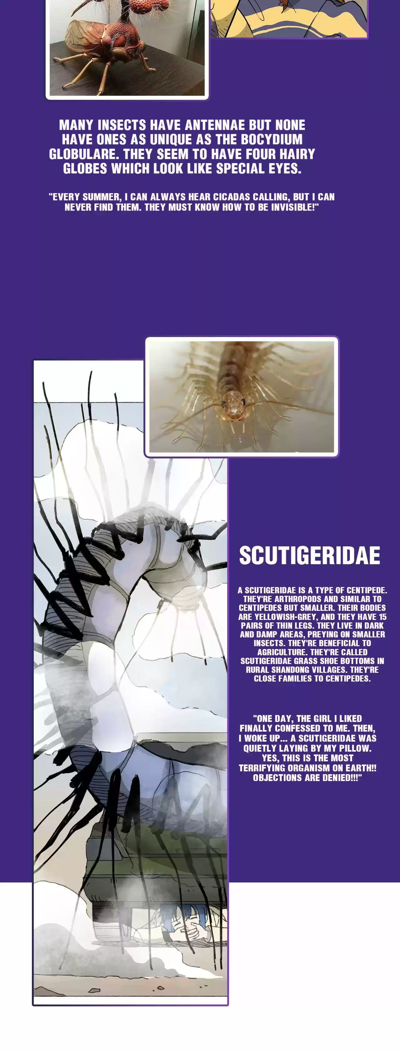 404 Case Manual: 30 Seconds Till Apocalypse Chapter 18.5