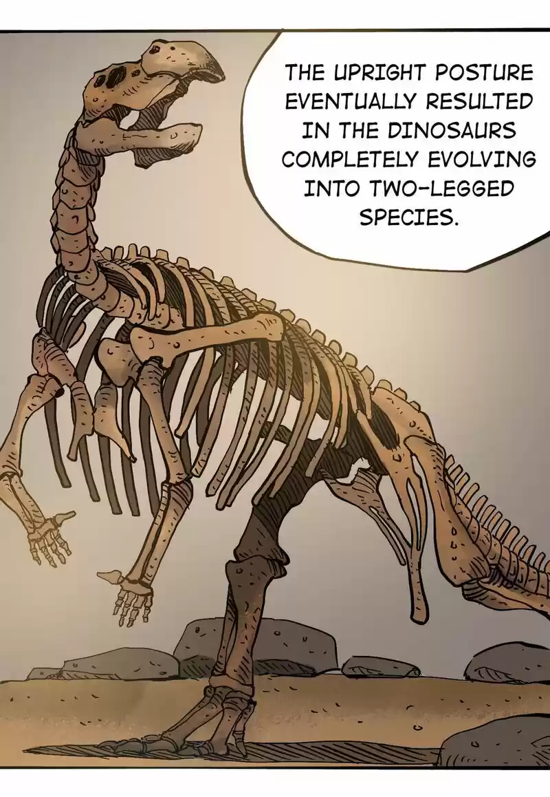 404 Case Manual: 30 Seconds Till Apocalypse Chapter 50