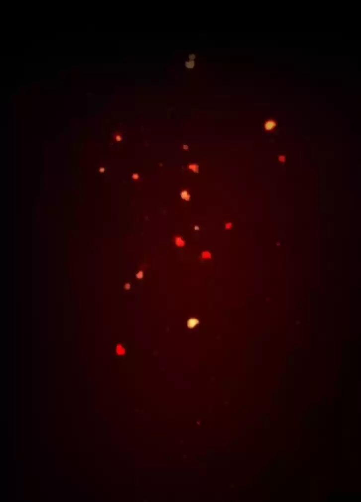 5500 Shades of the Demon King Ch.091