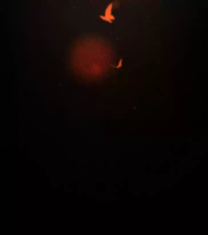 5500 Shades of the Demon King Ch.097