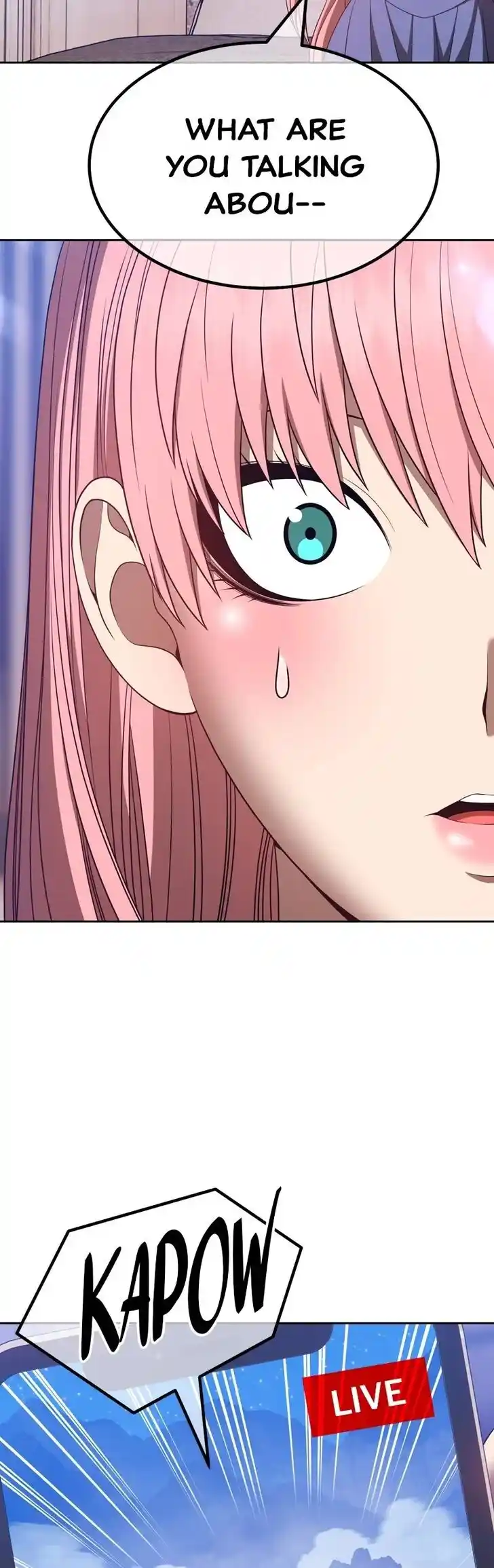 99 Reinforced Wood Stick Ch.057