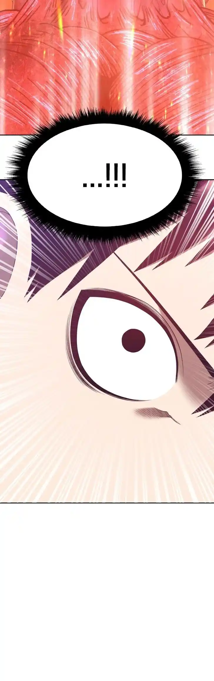 99 Reinforced Wood Stick Ch.060