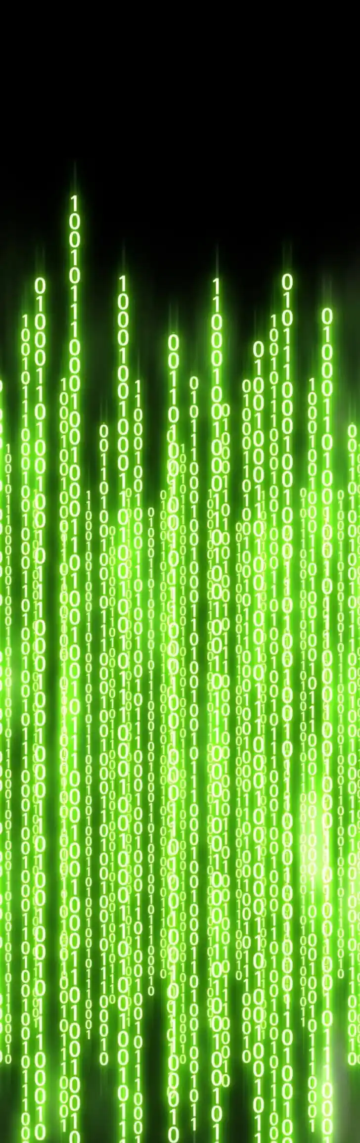 99 Reinforced Wood Stick Ch.061