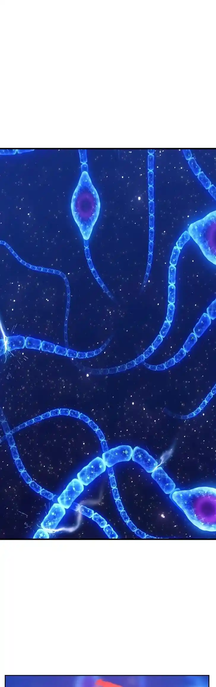 99 Reinforced Wood Stick Ch.069