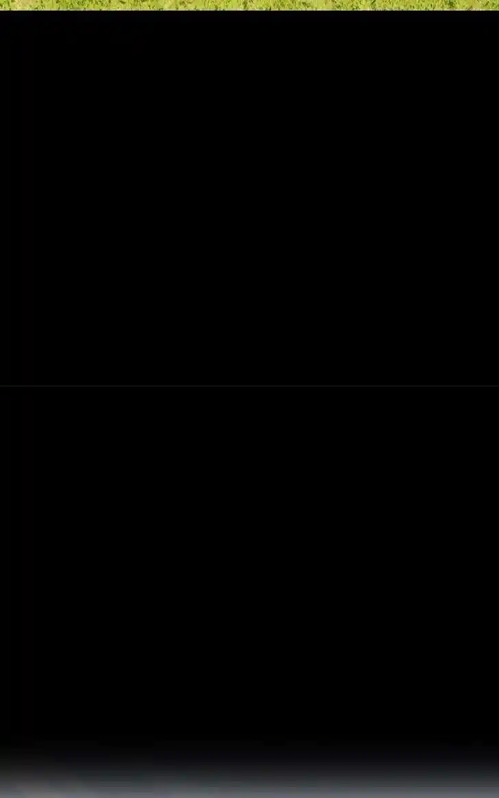 99 Reinforced Wood Stick Ch.078.1