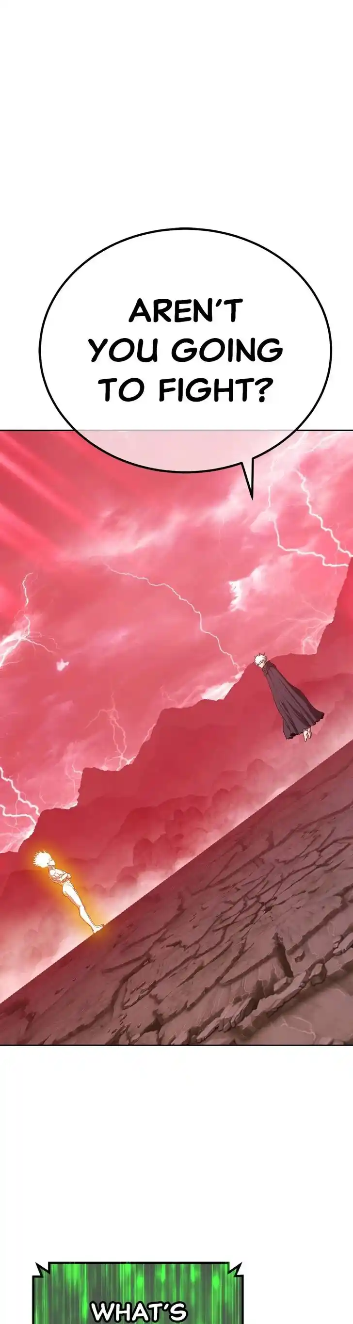 99 Reinforced Wood Stick Ch.080