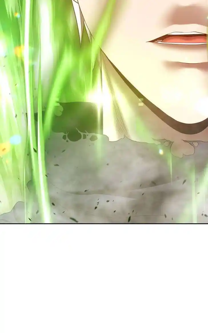 99 Reinforced Wood Stick Ch.080.1