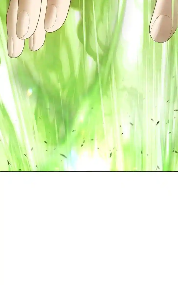 99 Reinforced Wood Stick Ch.080.1