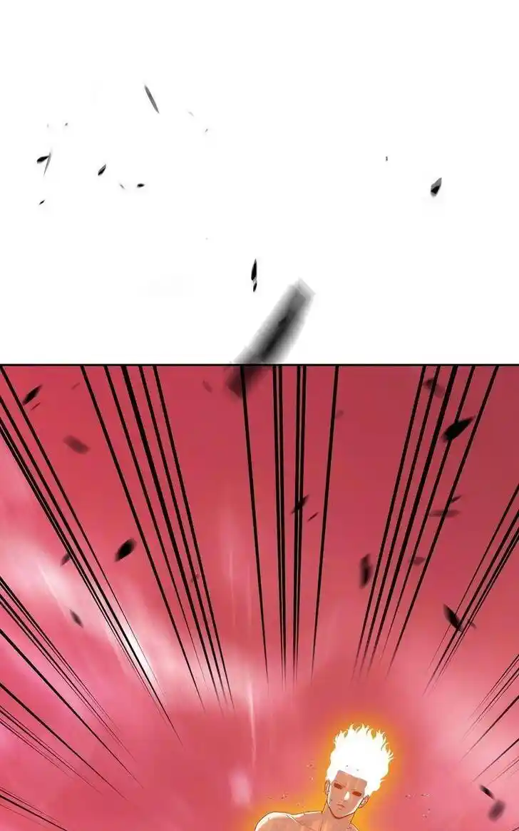 99 Reinforced Wood Stick Ch.080.1