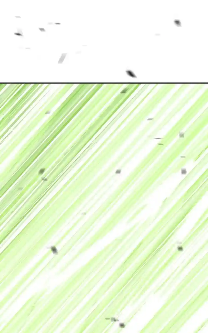 99 Reinforced Wood Stick Ch.081.1