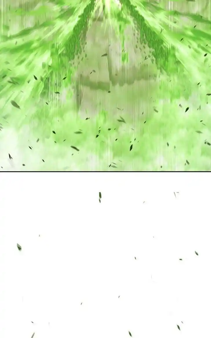 99 Reinforced Wood Stick Ch.081.2