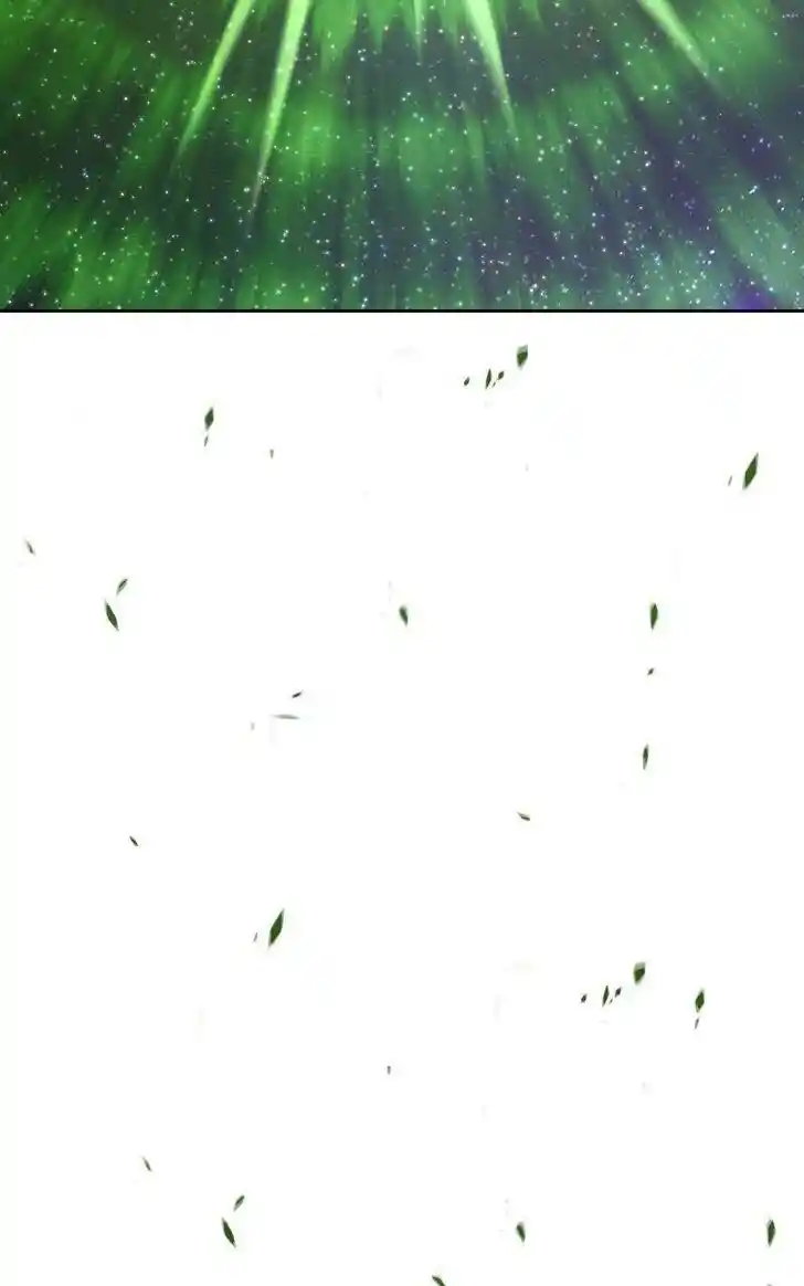 99 Reinforced Wood Stick Ch.081.2