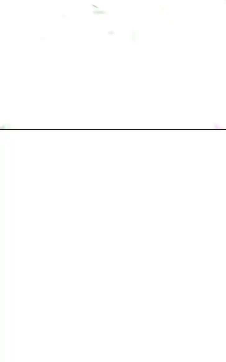 99 Reinforced Wood Stick Ch.081.2