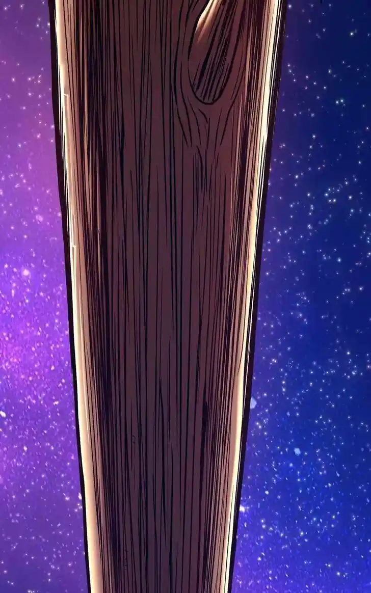 99 Reinforced Wood Stick Ch.082.2