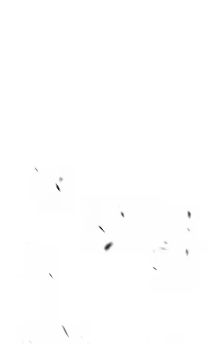 99 Reinforced Wood Stick Chapter 104