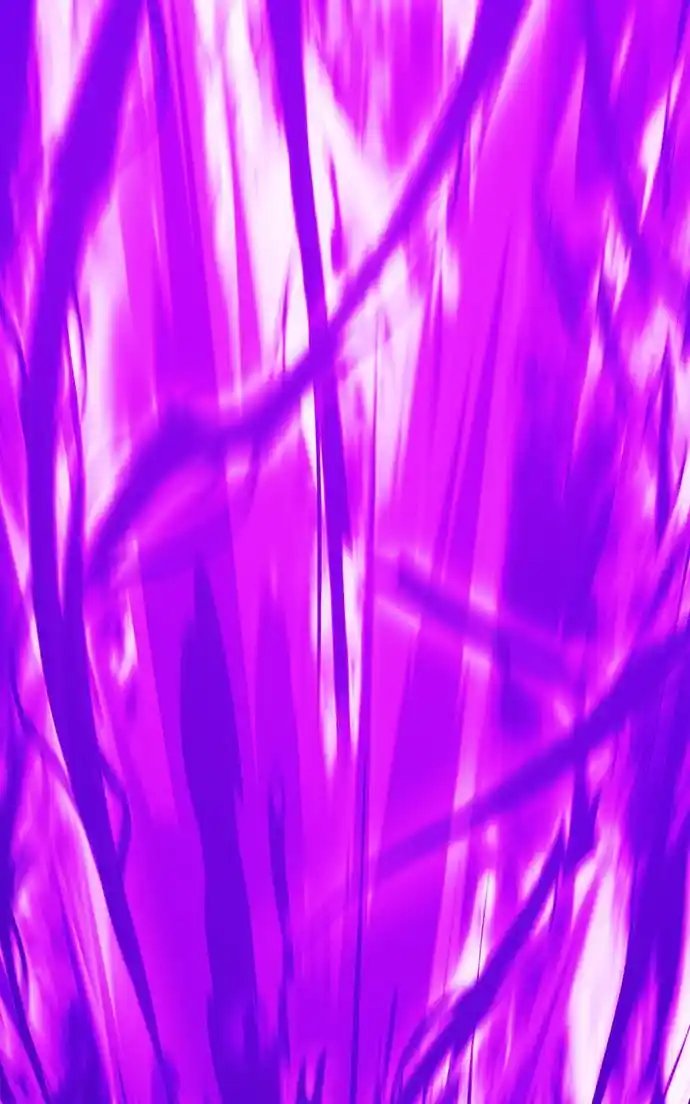 99 Reinforced Wood Stick Chapter 104