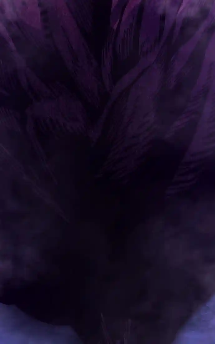 99 Reinforced Wood Stick Chapter 104