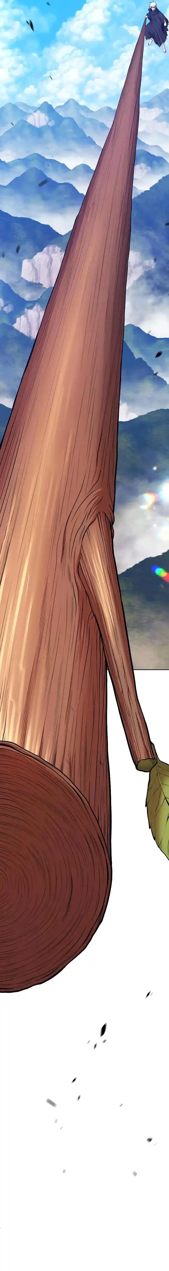 99 Reinforced Wood Stick Chapter 89.5