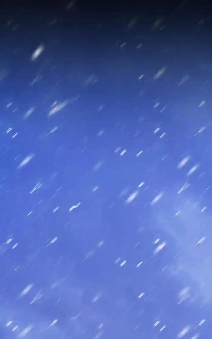 99 Reinforced Wood Stick Chapter 92