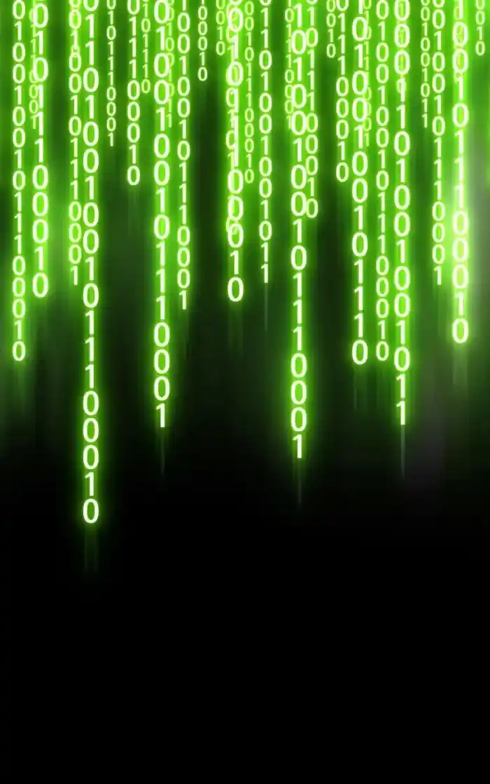 99 Reinforced Wood Stick Chapter 95