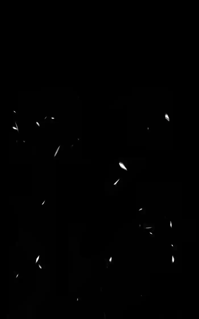 99 Reinforced Wood Stick Chapter 96