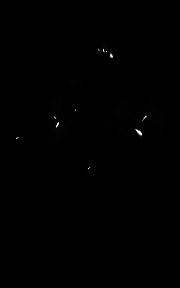 99 Reinforced Wood Stick Chapter 96