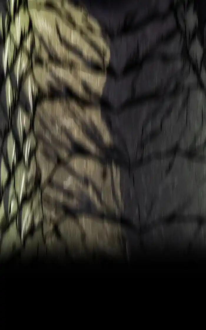 99 Reinforced Wood Stick Chapter 97