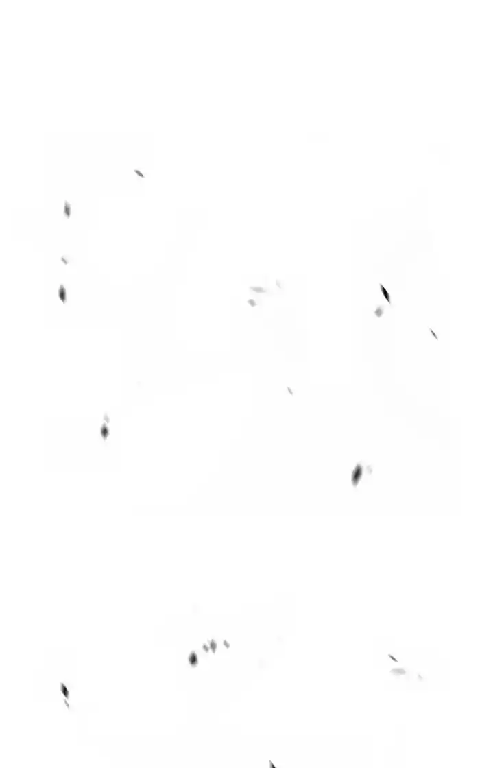 99 Reinforced Wood Stick Chapter 98