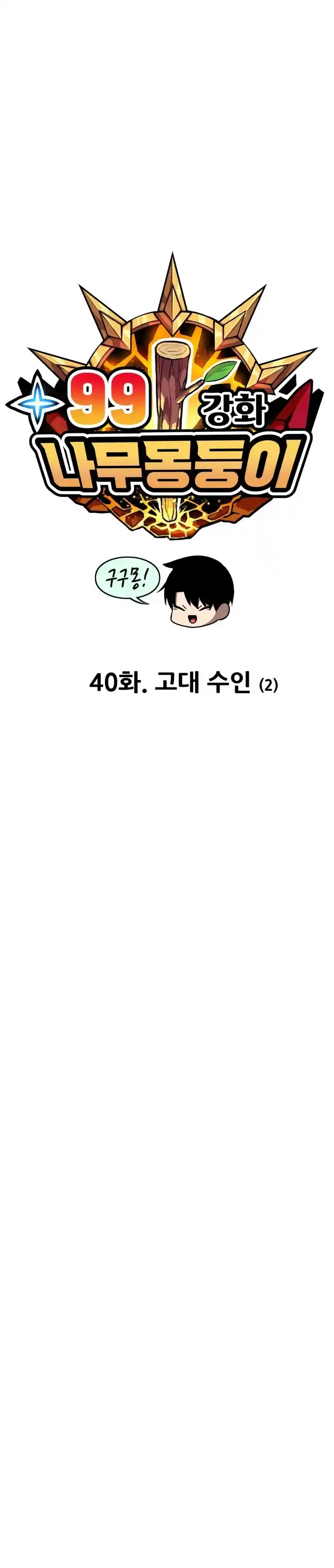 +99 Reinforced Wooden Stick 40