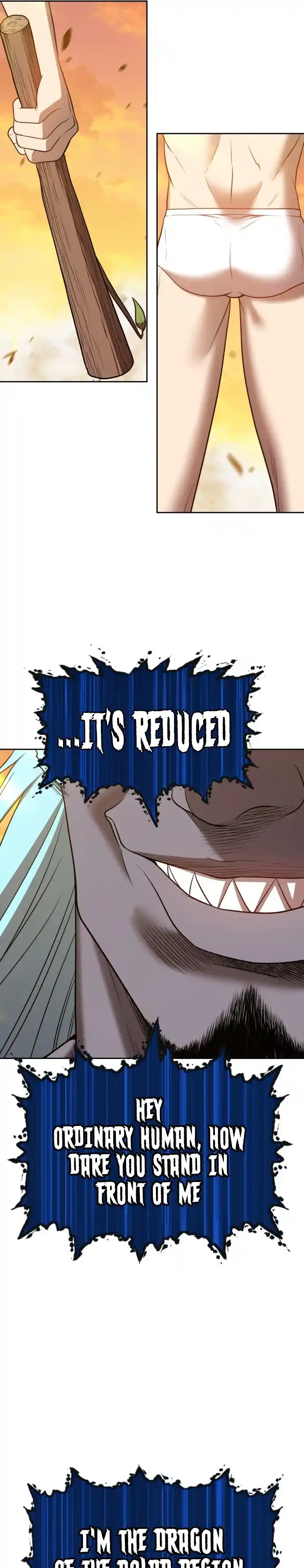 +99 Reinforced Wooden Stick 43