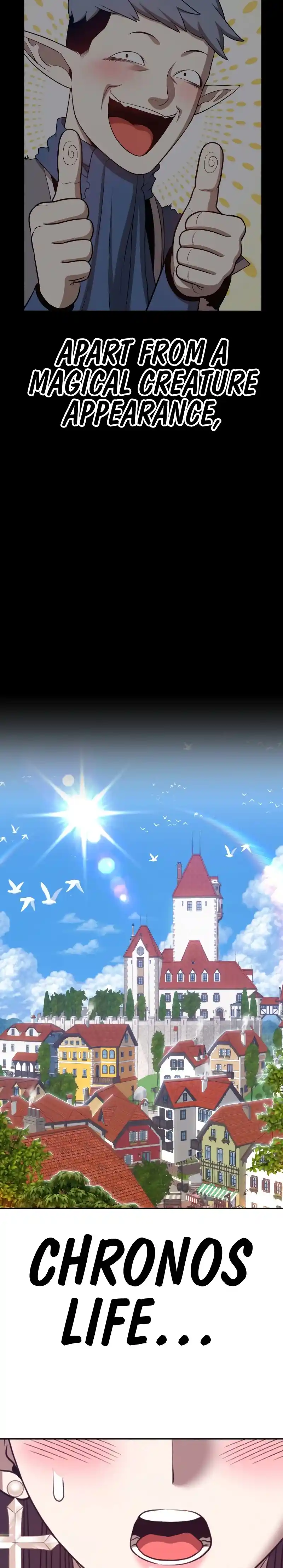 +99 Reinforced Wooden Stick 47