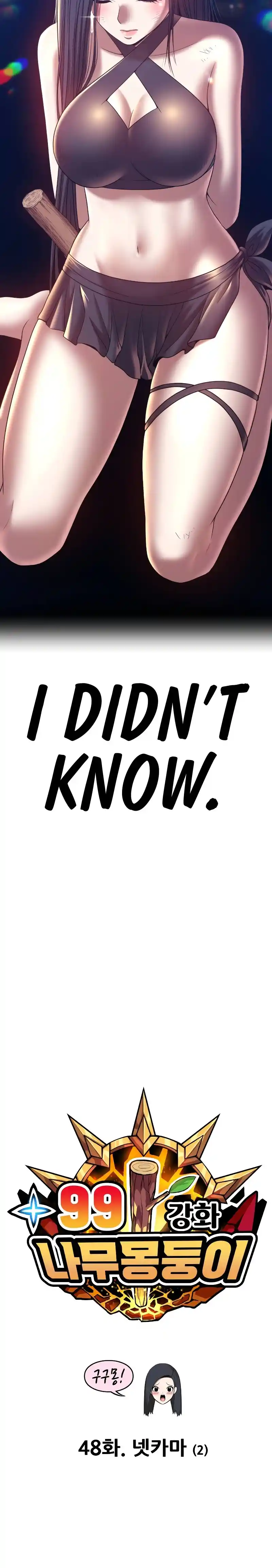 +99 Reinforced Wooden Stick 48