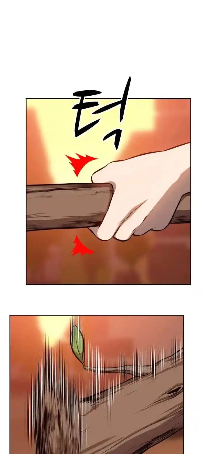 +99 Reinforced Wooden Stick Chapter 1