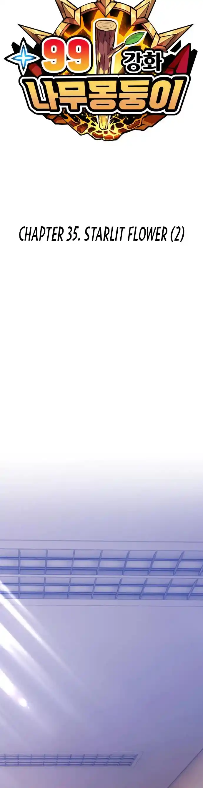 +99 Reinforced Wooden Stick Chapter 35