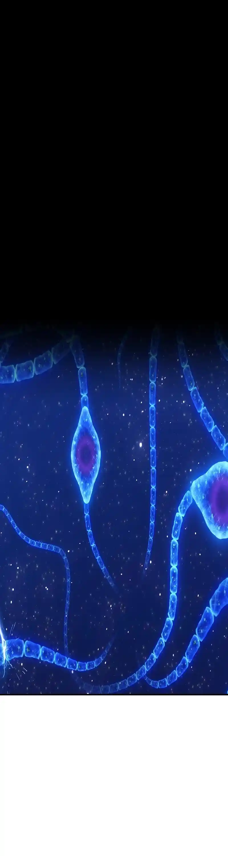 +99 Reinforced Wooden Stick Chapter 64