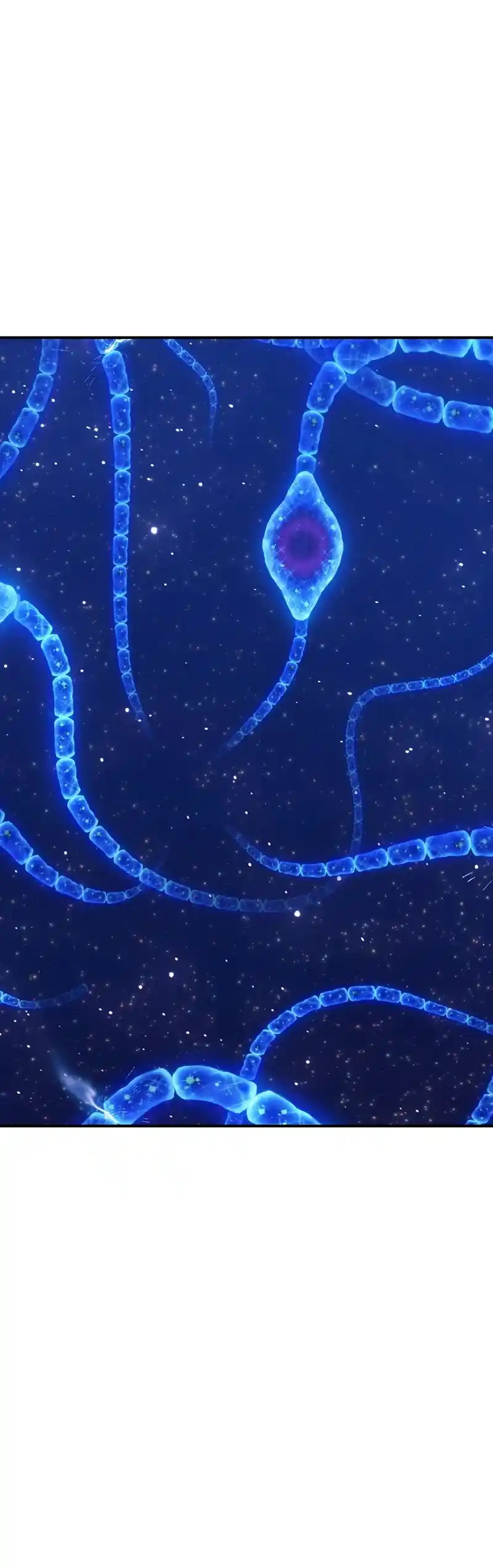 +99 Reinforced Wooden Stick Chapter 65